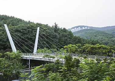 에코브릿지와 산책길