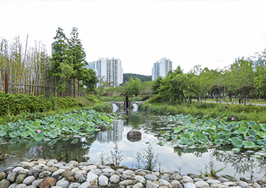 전포천/도심백사장