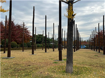 기억의 기둥 이미지